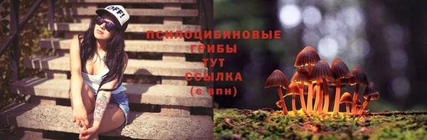 бошки Новозыбков