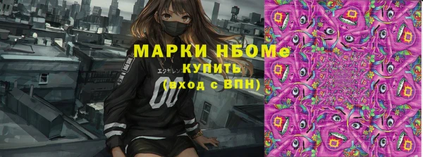 бошки Новозыбков