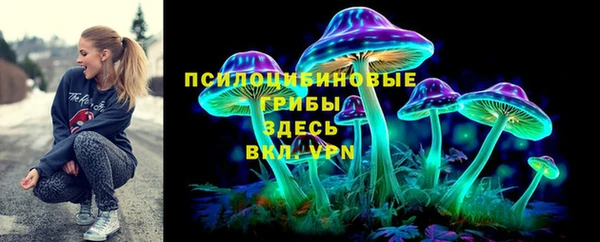 ALPHA PVP Новодвинск