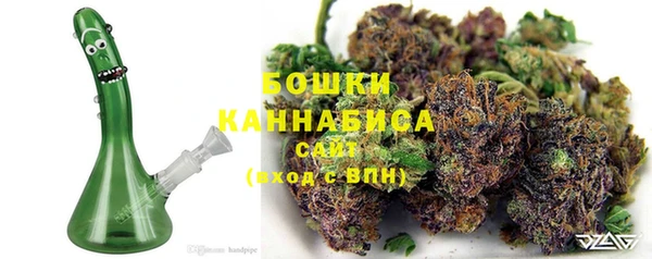 бошки Новозыбков