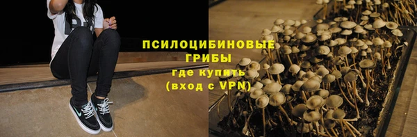ALPHA PVP Новодвинск