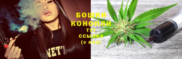 бошки Новозыбков