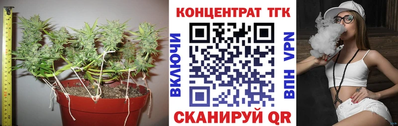 ТГК концентрат Певек